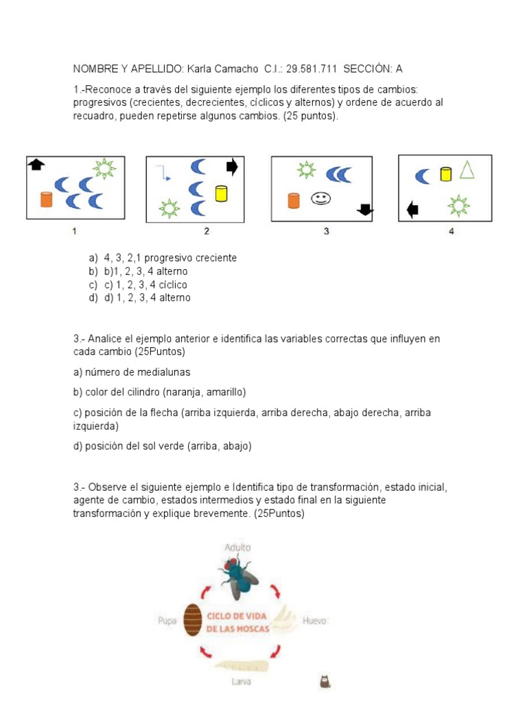 Análisis de Cambios y Transformaciones | PDF