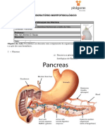 Laboratório morfofisiológico do pâncreas