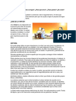 Qué es la virtud? Las claves de la prudencia, justicia, fortaleza y templanza