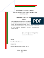 Tulio Tomás Castillo Solano PDF