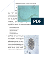 Soal Parasitologi