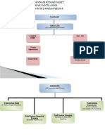 Struktur Organisasi Rsia