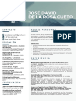 Jose David de La Rosa Cueto CV PDF