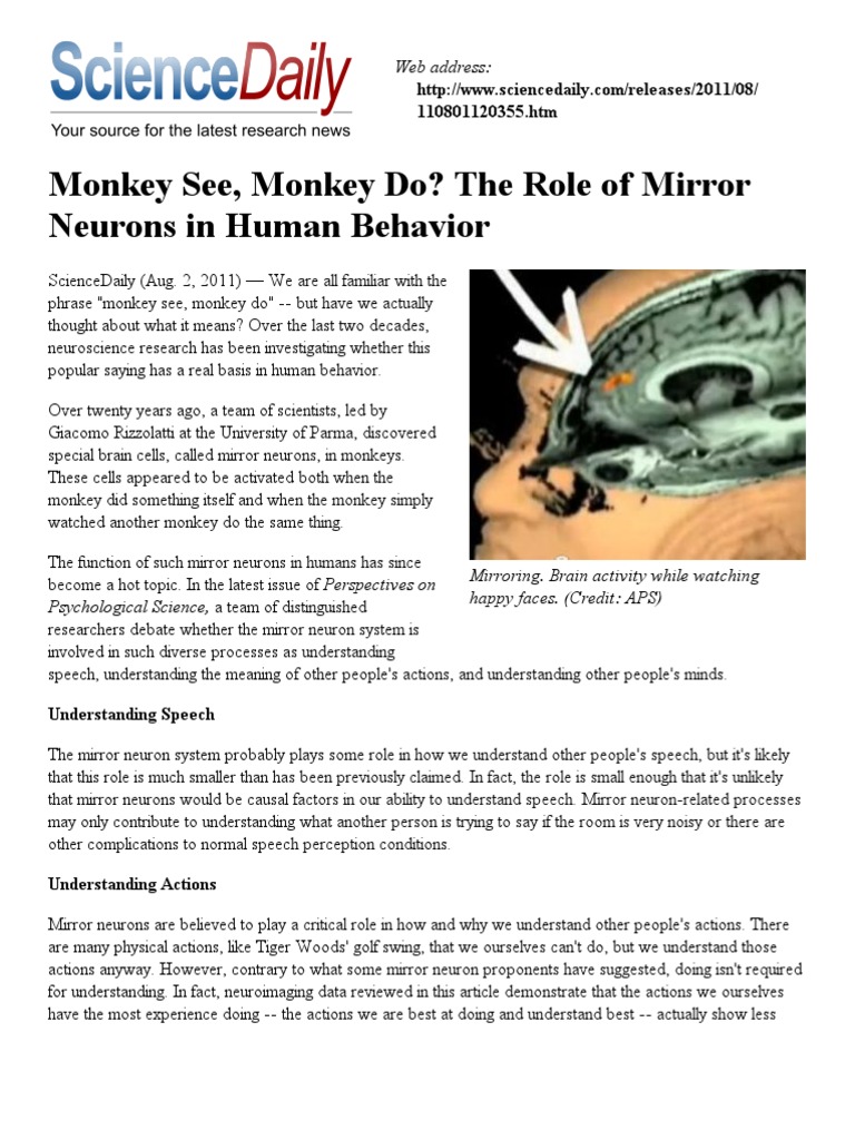 Monkey See Monkey Do The Role Of Mirror Neurons In Human Behavior Pdf Speech Mind