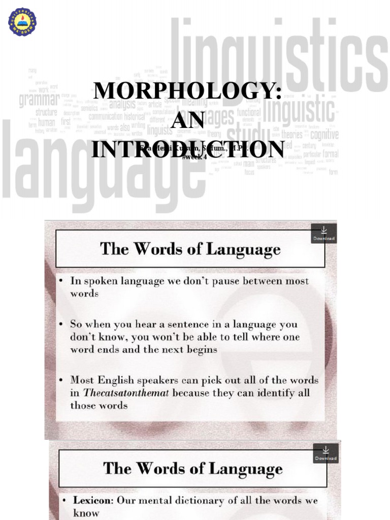 Morphology Biology Diagrams