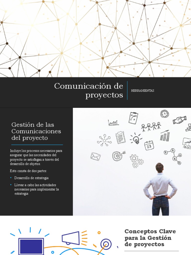 Comunicación De Proyectos Pdf Software Comunicación