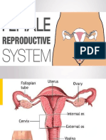 ANATOMY OF FEMALE Internal