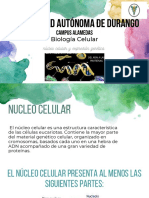 Biologia Celular PDF