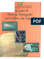 Cultivodezapallo PDF