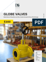 E300 Globe Valves