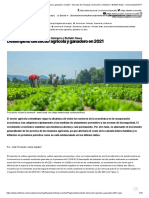 Desempeño del sector agrícola y ganadero en 2021 - Escuela de Finanzas, Economía y Gobierno _ Bulletin News - Universidad EAFIT