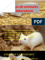 Manejo de Animales de Laboratorio