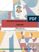 Modificacioes-Gpc Lesiones Benignas de Mama PDF