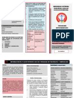 Triptico Fisioterapia y Kinesiología 2022 PDF