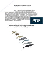 Evidence for Evolution from Genetics, Developmental Biology & Fossils