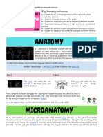PART 9 Reproductive System PDF