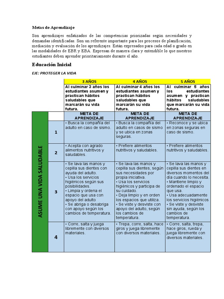 Metas de Aprendizaje Inicial, Primaria y Secundaria | PDF | Aprendizaje ...