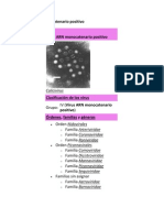 Virus ARN Monocatenario Positivo: Calicivirus