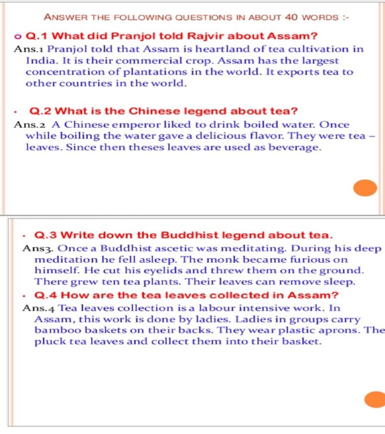 Important Questions Tea From Assam | PDF