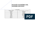 Clasificación taxonómica de la vaca Holstein