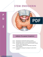 Sistem Endokrin: E L K P D 2