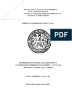 Estructura de Informe Diagnóstico - Matriz de Nueve Sectores