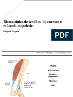 aula-2012-20-20biomec-20musculos-20e-20ossos-20parte-202-130624072230-phpapp02.ppt