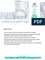 14-Anterior and Medial Thigh PDF