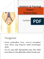 The Anatomy Physiology of The Urinary System