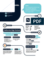 Infographic Resume