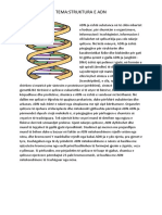 Tema:Struktura E Adn