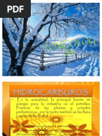 Exposicion Hidrocarburos