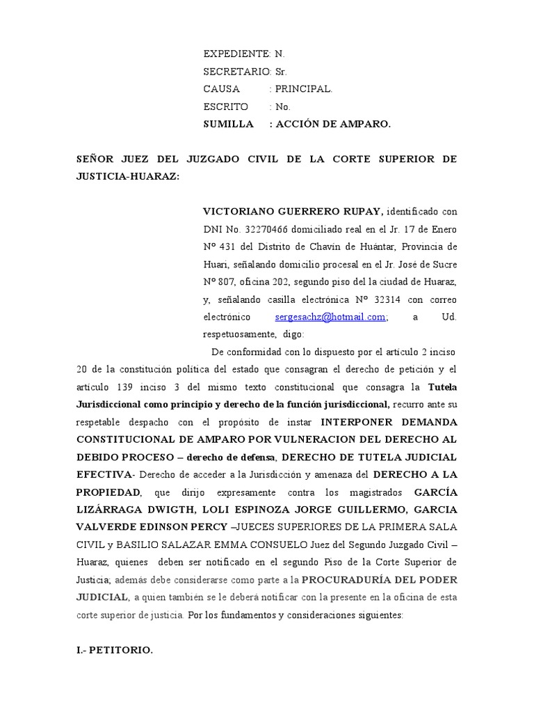Accion de Amparo | PDF | Debido al proceso | Ley procesal