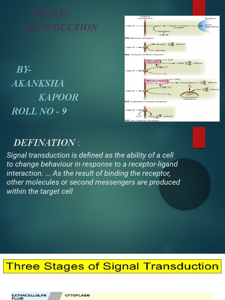 Signal Transduction PDF