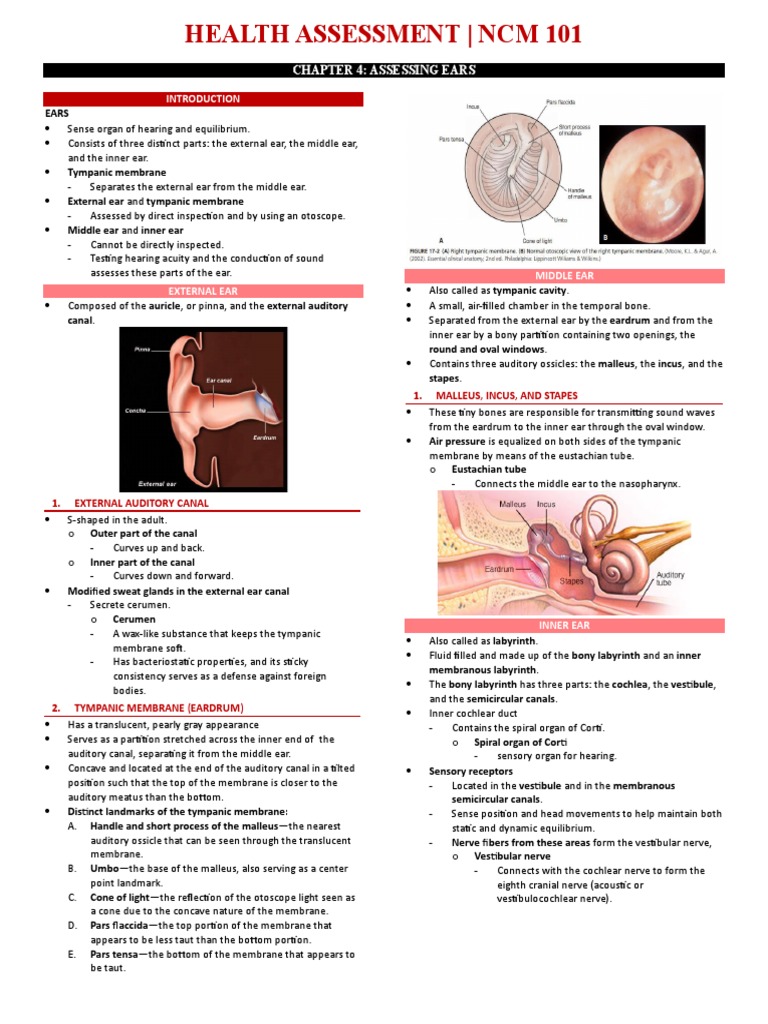 Ear Assessment in Health Evaluation | PDF | Ear | Hearing