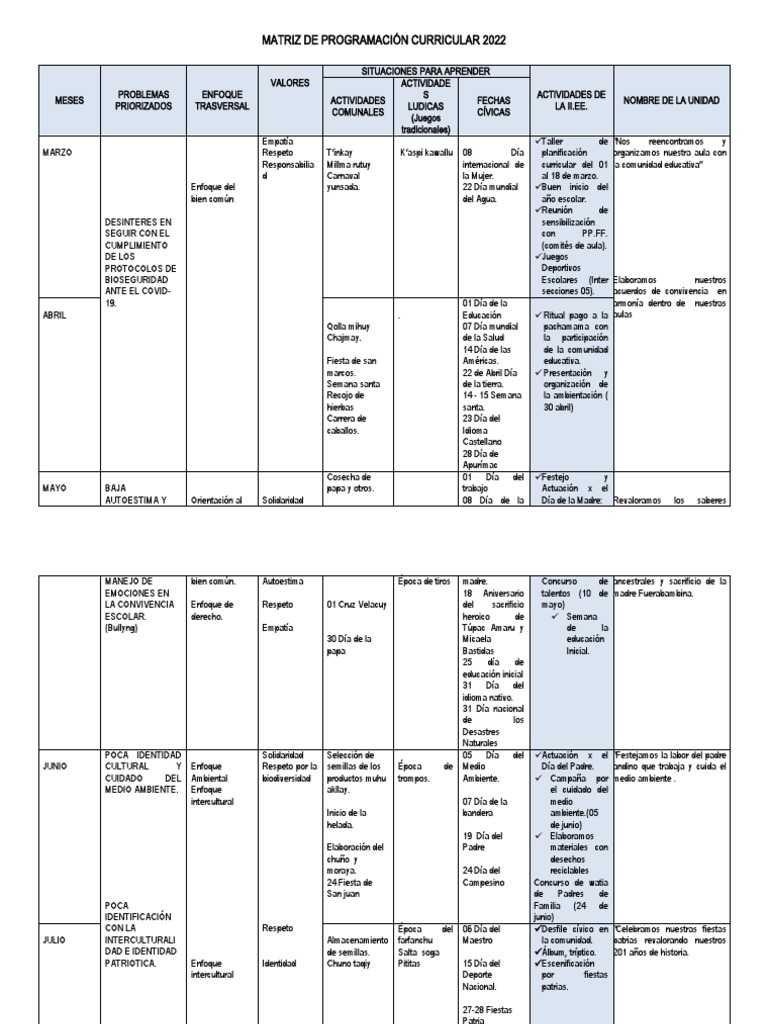 Matriz Curricular | PDF