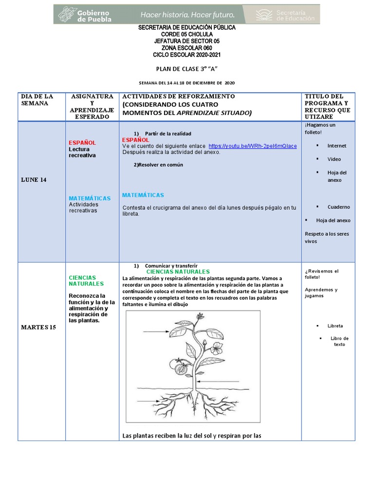 PLAN DE CLASE 14 A 18 de Dic. 3° B (2120) | PDF