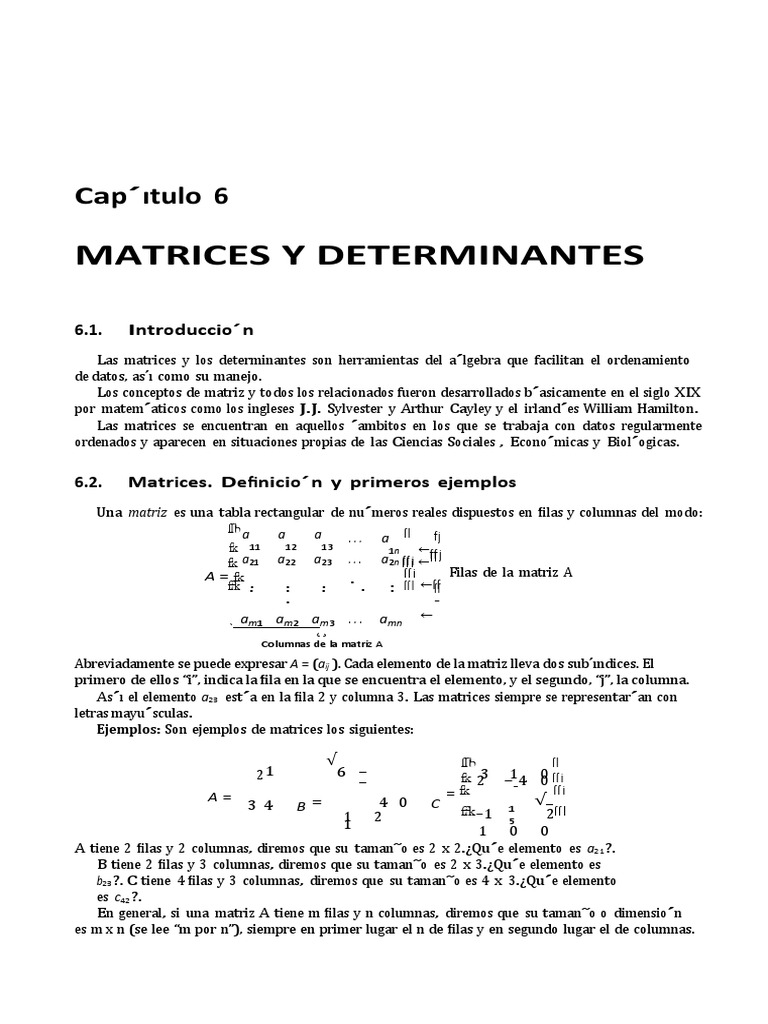 Investigacion de Matrices y Det | PDF | Matriz (Matemáticas) | Física ...