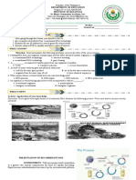 Gen - Bio W2-Recombinant Dna