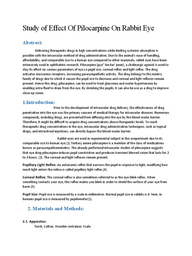 Pilocarpine Effects on Rabbit Eye Study | PDF | Eye | Ophthalmology