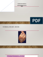 Praktikum Blok Kardiologi Departemen Patologi Anatomi FK Umsu 2023