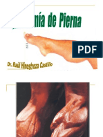 Anatomia de Pierna