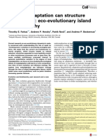 How Maladaptation Can Structure Biodiversity: Eco-Evolutionary Island Biogeography