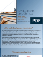 Inteligencia Lingüística