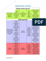 Musculos de La Periné 