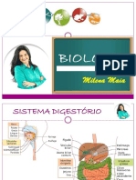 SISTEMA DIGESTIVO Compacto PDF