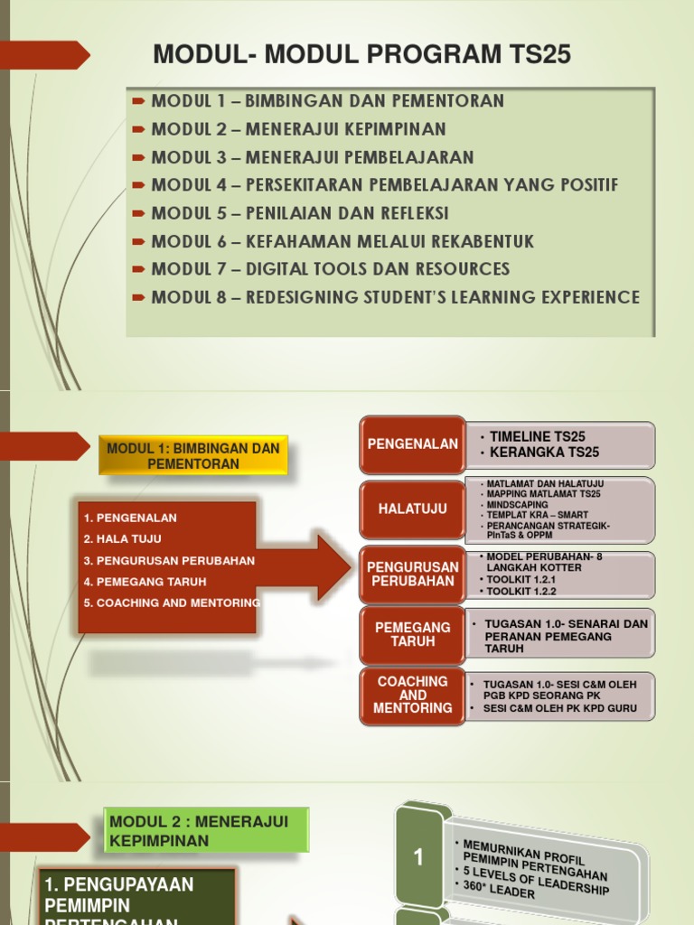 Modul Program TS25: Panduan Lengkap | PDF
