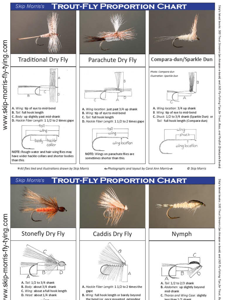 Skip Morris Trout Fly Proportion Chart | PDF | Fly Fishing | Artificial Fly