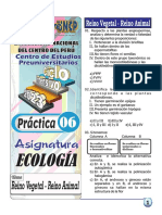 06. PRACTICA REINO VEGETAL Y ANIMAL CICLO INTENSIVO