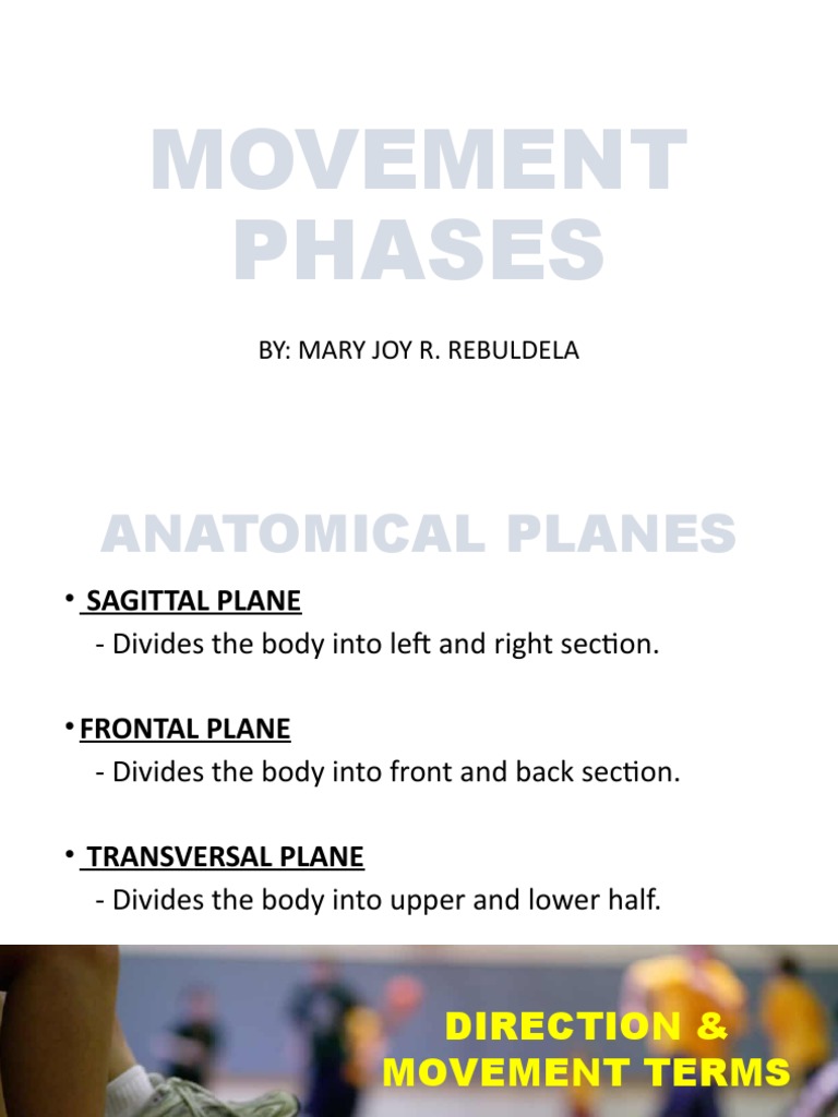 An Illustrated Guide to Anatomical Planes and Movement Terminology Biology Diagrams